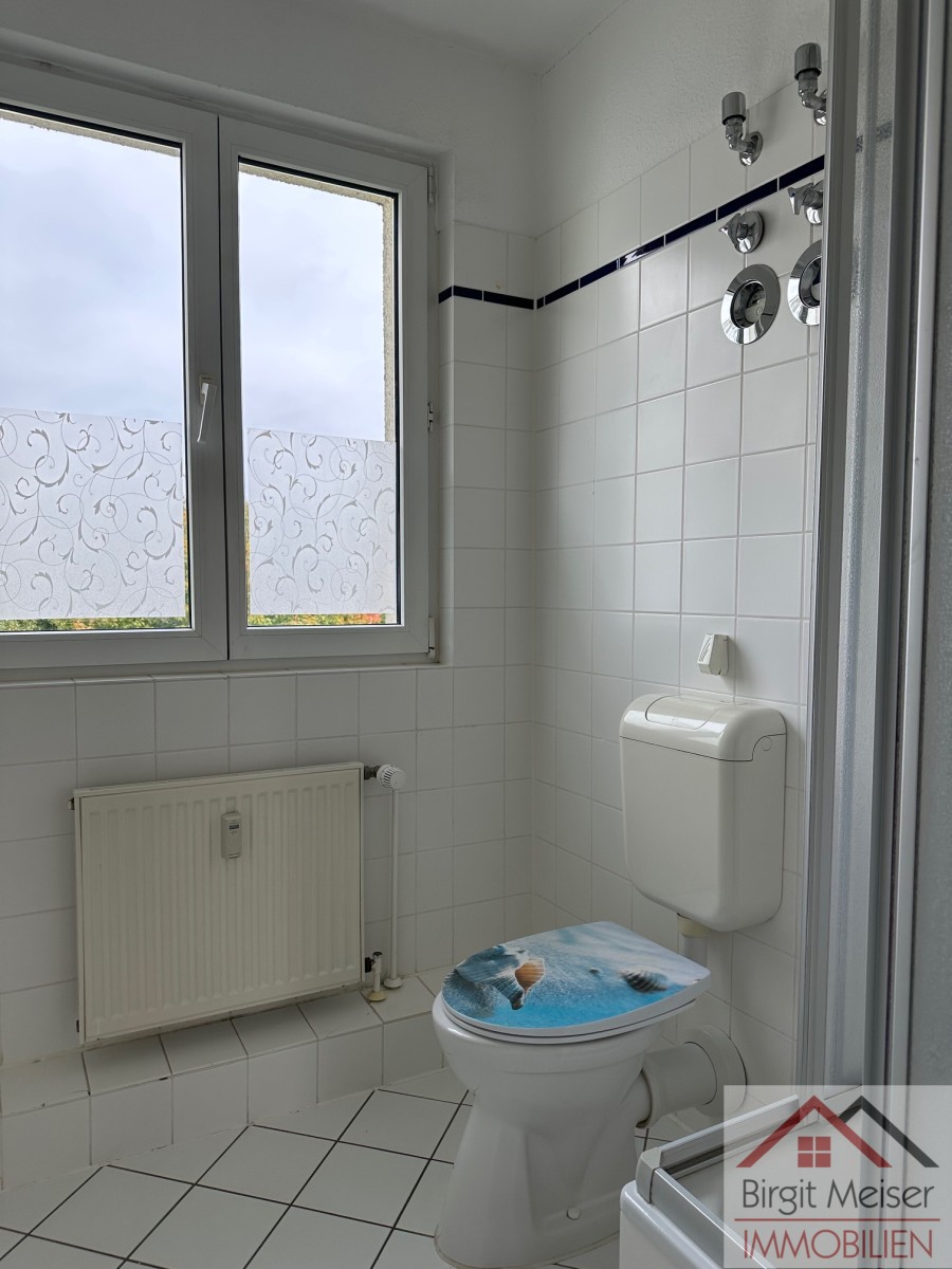 Tageslichtbad mit Dusche Wohnung Schwerin