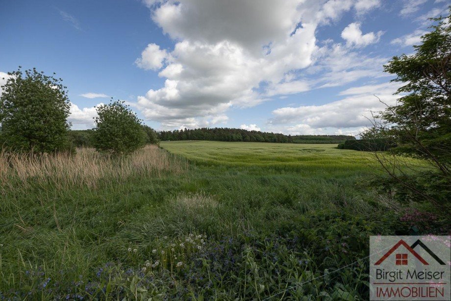 Blick aus der K�che Einfamilienhaus Bollewick