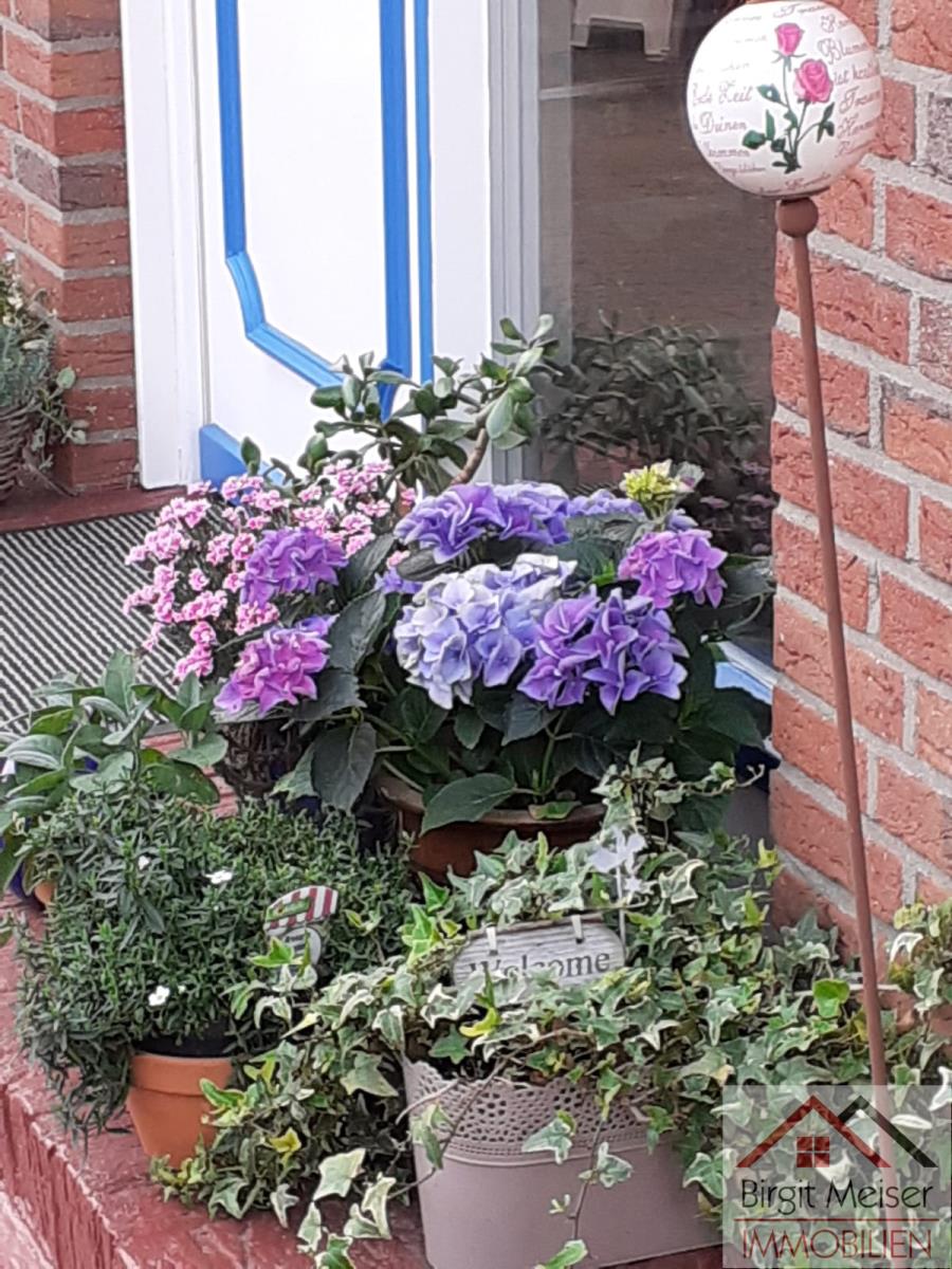 Idylle am Hauseingang Einfamilienhaus Bollewick