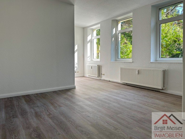 Wohnen Schwerin Wohnung * Sanierte Single-Wohnung mit Blick ins Gr�ne * K�chenzeile, Duschbad *