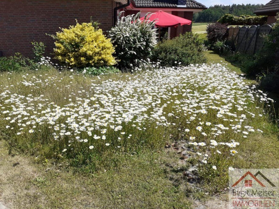 Es bl�ht wunderbar ... Einfamilienhaus Bollewick