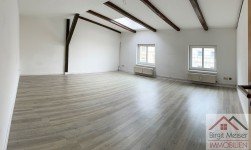 Hauptbild * Steinstra�e 6 * Kurze Wege zu Einkauf und Kultur * 1 gro�er Raum, EBK, Tageslichtbad m. Dusche