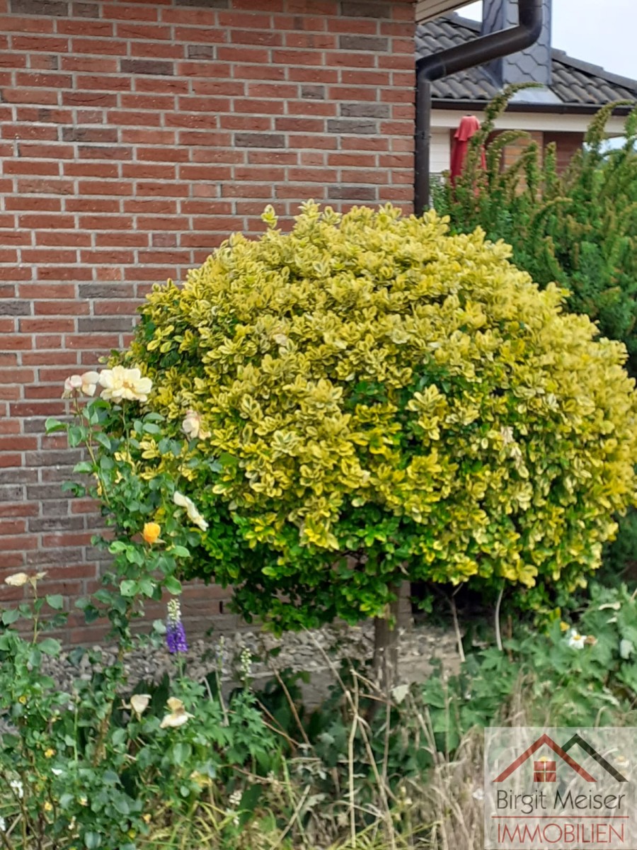 Blickfang Einfamilienhaus Bollewick