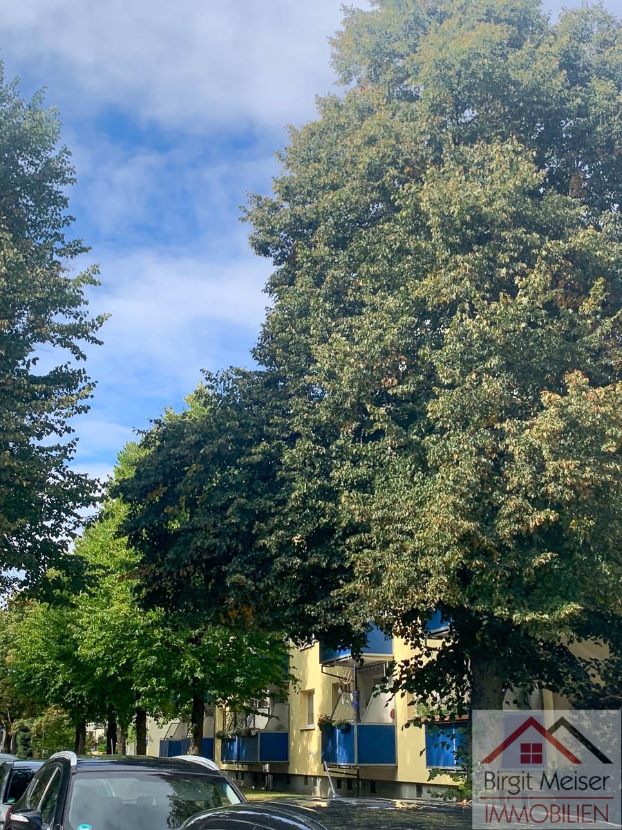 Blick in die Stra�e Wohnung Schwerin